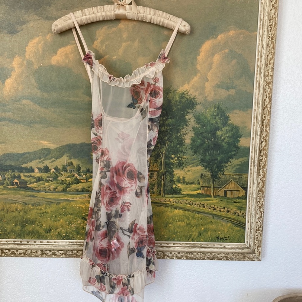 Sheer ruffle Y2K boutique sheer rose floral slip